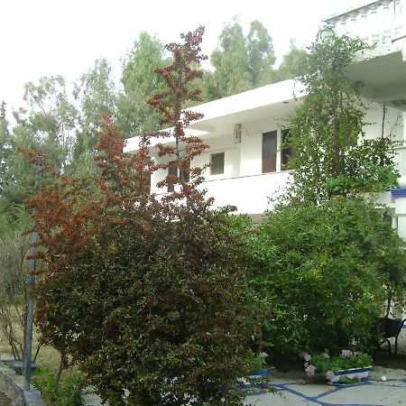 Villa Zoi Thronion Exterior photo