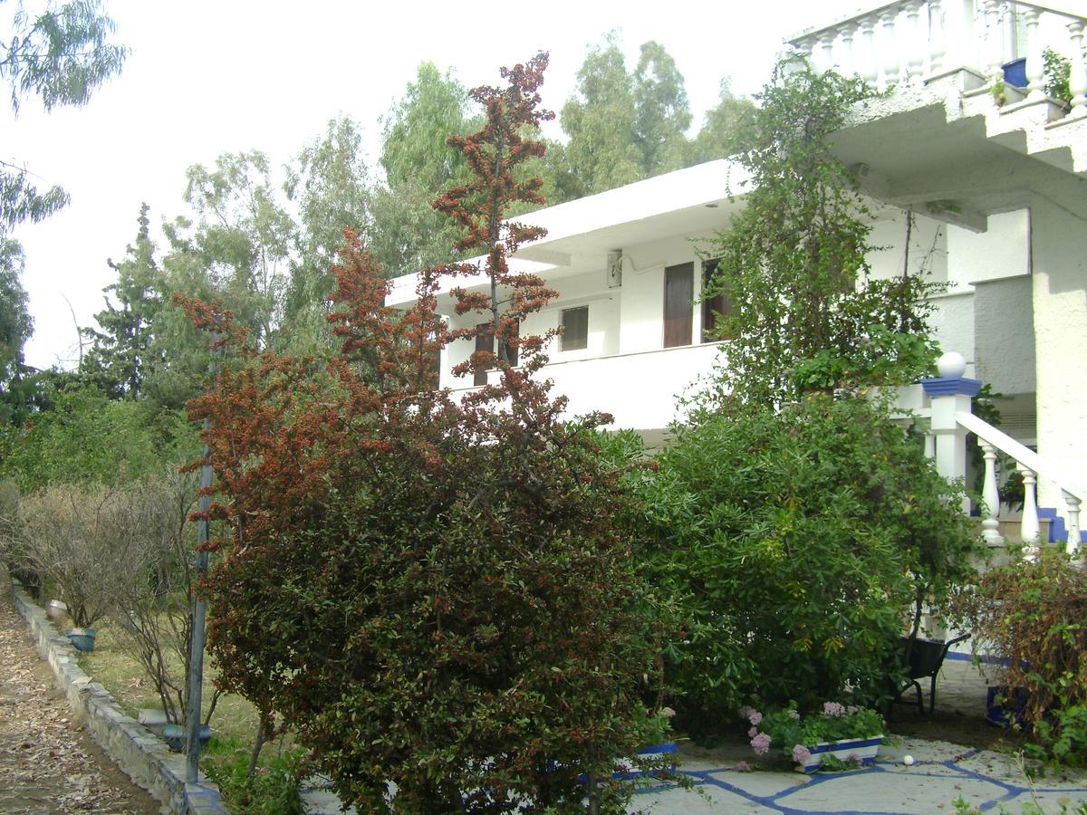 Villa Zoi Thronion Exterior photo