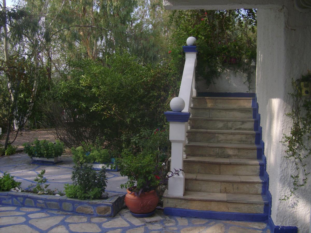 Villa Zoi Thronion Exterior photo